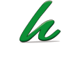 Hurley logo