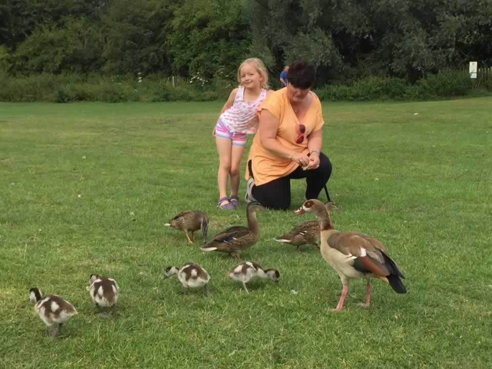 feeding ducks